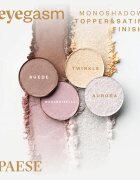 Paese Eyegasm Eyeshadow dolgoobstojna senčila za oči odtenek 22 Mist 1.5 g