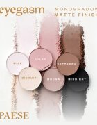 Paese Eyegasm Eyeshadow dolgoobstojna senčila za oči odtenek 22 Mist 1.5 g