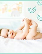 Pampers Premium Care Size 2 plenice za enkratno uporabo 4-8 kg 23 kos