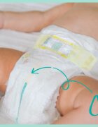 Pampers Premium Care Size 4 plenice za enkratno uporabo 9-14 kg 34 kos