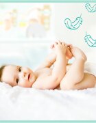 Pampers Premium Care Size 4 plenice za enkratno uporabo 9-14 kg 34 kos