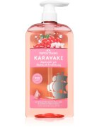 PAPOUTSANIS Karavaki Nutrition & Hydration hranilni šampon 600 ml