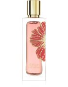 Paris Corner Ibisco Nirvana parfumski ekstrakt uniseks 65 ml