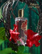Paris Corner Ibisco Nirvana parfumski ekstrakt uniseks 65 ml