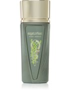 Paris Corner Mysterium parfumska voda za moške 100 ml
