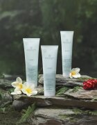 Paul Mitchell Awapuhi Wild Ginger Repair Cream Rinse hranilni balzam za vse tipe las 250 ml