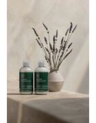 Paul Mitchell Tea Tree Lavender Mint vlažilni in pomirjajoči balzam z suhe lase 300 ml