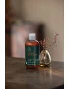 Paul Mitchell Tea Tree Special Color šampon za zaščito barvanih las 300 ml