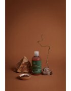 Paul Mitchell Tea Tree Special Color šampon za zaščito barvanih las 300 ml