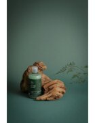 Paul Mitchell Tea Tree Special osvežujoči šampon 300 ml
