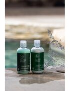 Paul Mitchell Tea Tree Special osvežujoči šampon 300 ml