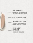 Payot Pâte Grise Crème Teintée Perfectrice SPF30 tonirana korekcijska nega za poenotenje polti proti nepopolnostim kože in madežem po aknah SPF 30 40