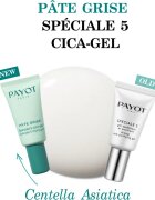 Payot Pâte Grise Spéciale 5 Cica-Gel lokalni gel za akne 15 ml