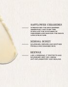 Payot Source Nutrition hranilni balzam za suho kožo 20 g