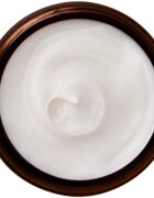 Perricone MD Essential Fx Acyl-Glutathione Night Moisturizer vlažilna nočna krema 59 ml
