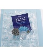 Petitfée Agave Cooling intenzivna hidrogelna maska za pomiritev kože 32 g