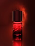 Philipp Plein Heat toaletna voda za moške 100 ml