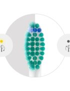 Philips Sonicare ProResults HX6018/87 nadomestne glave za zobno ščetko 8 kos