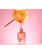 Physicians Formula Butter Glow tekoče rdečilo s hranilnim učinkom odtenek Rosy Glow 30 ml