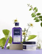 Phyto Violet No Yellow Shampoo šampon za toniranje za blond lase in lase s prameni 250 ml