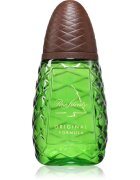 Pino Silvestre Original Formula toaletna voda za moške 125 ml