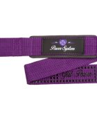 Power System G Power uteži barva Purple 1 kos