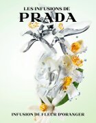 Prada Les Infusions: Infusion Fleur d'Oranger parfumska voda uniseks 100 ml