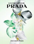 Prada Les Infusions: Infusion Iris parfumska voda uniseks 100 ml