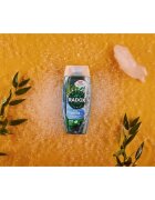 Radox Feel Active gel za prhanje 225 ml