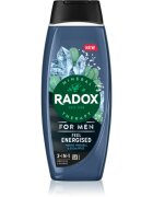 Radox Feel Energised gel za prhanje za moške 2 v 1 450 ml