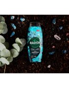 Radox Feel Energised gel za prhanje za moške 2 v 1 450 ml
