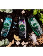 Radox Feel Energised gel za prhanje za moške 2 v 1 450 ml