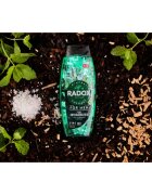 Radox Feel Invigorated gel za prhanje za moške 2 v 1 450 ml