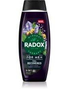 Radox Feel Recovered gel za prhanje za moške 2 v 1 450 ml