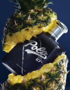 Ralph Lauren Polo 67 parfumska voda za moške 75 ml
