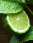 Ralph Lauren Polo 67 toaletna voda za moške 40 ml