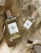 Ralph Lauren Polo Earth Antilles Vetiver toaletna voda uniseks 100 ml