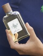Ralph Lauren Polo Earth Antilles Vetiver toaletna voda uniseks 100 ml