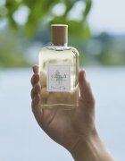 Ralph Lauren Polo Earth Provencial Sage toaletna voda uniseks 100 ml