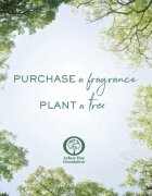Ralph Lauren Polo Earth Provencial Sage toaletna voda uniseks 40 ml