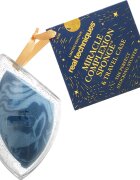 Real Techniques Holiday Miracle Complexion Sponge & Travel Case gobica za tekoči puder + embalaža