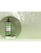 Revuele Botanical Care Rosemary šampon za okrepitev las za pospeševanje rasti las 400 ml