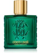 Roberto Cavalli Uomo Verde Assoluto parfumska voda za moške 100 ml