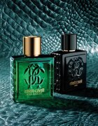 Roberto Cavalli Uomo Verde Assoluto parfumska voda za moške 100 ml