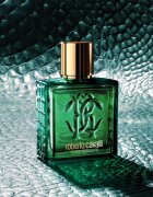 Roberto Cavalli Uomo Verde Assoluto parfumska voda za moške 100 ml