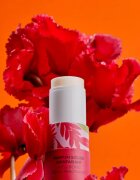Roger & Gallet Gingembre Rouge Wellbeing Solid Fragrance trdi parfum za ženske 5 g