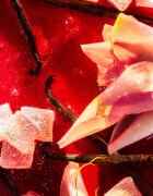 Roja Parfums Nüwa parfum uniseks 100 ml