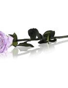 RoseAmor Lila stabilizirana vrtnica na steblu 30 cm 1 kos