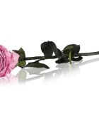 RoseAmor Pink stabilizirana vrtnica na steblu 30 cm 1 kos