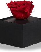 RoseAmor Red stabilizirana vrtnica v škatlici 1 kos